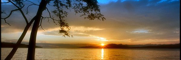 ismail_tezer Profile Banner