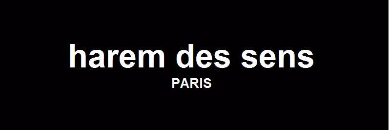 haremdessens's profile banner image