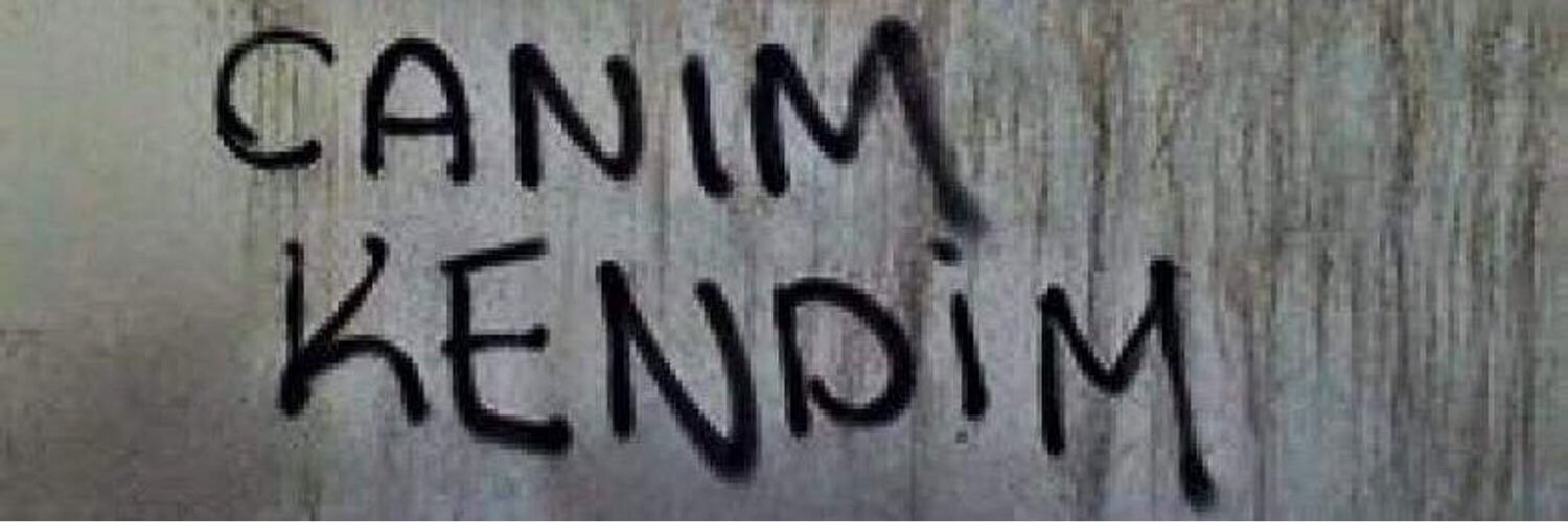 neseakdemir's profile banner image