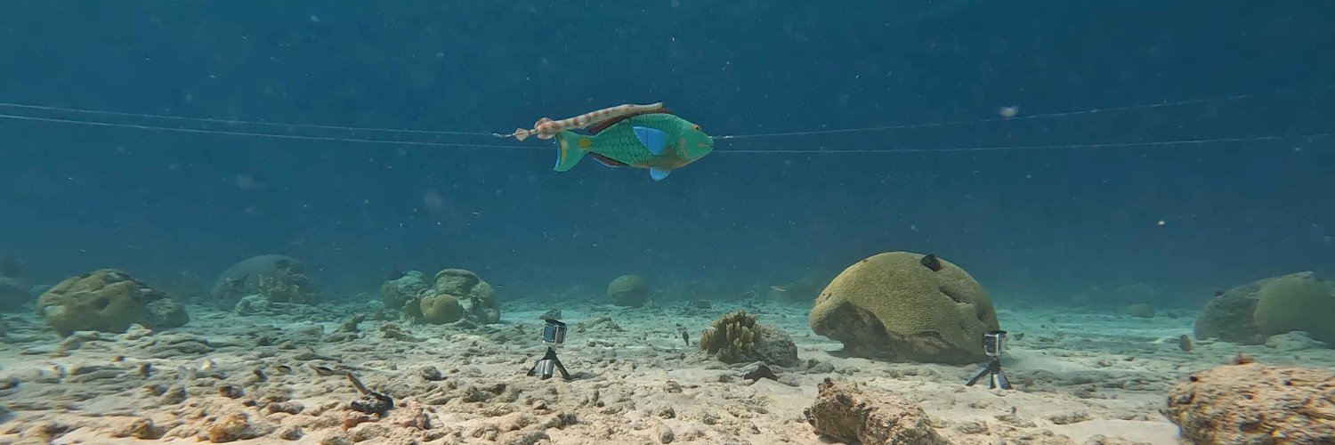 Sam Matchette banner