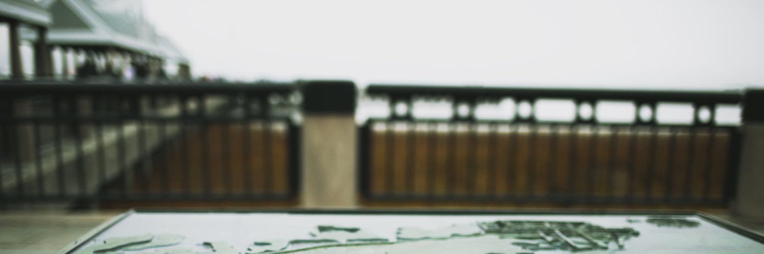 selliebee's profile banner image