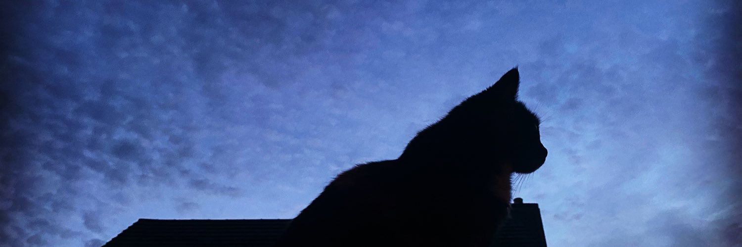 RachelOulton's profile banner image