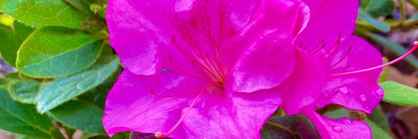 _StorySky_ Profile Banner