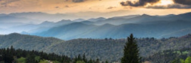 rock184wr's profile banner image