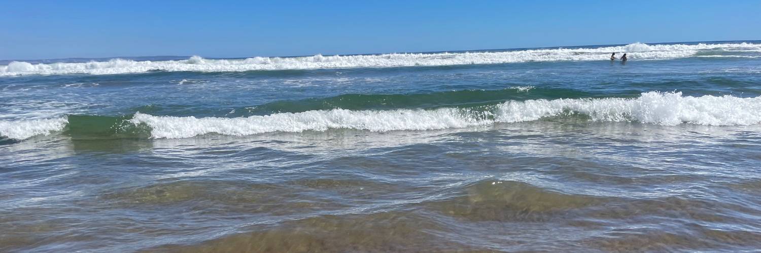 Mario Velasco banner