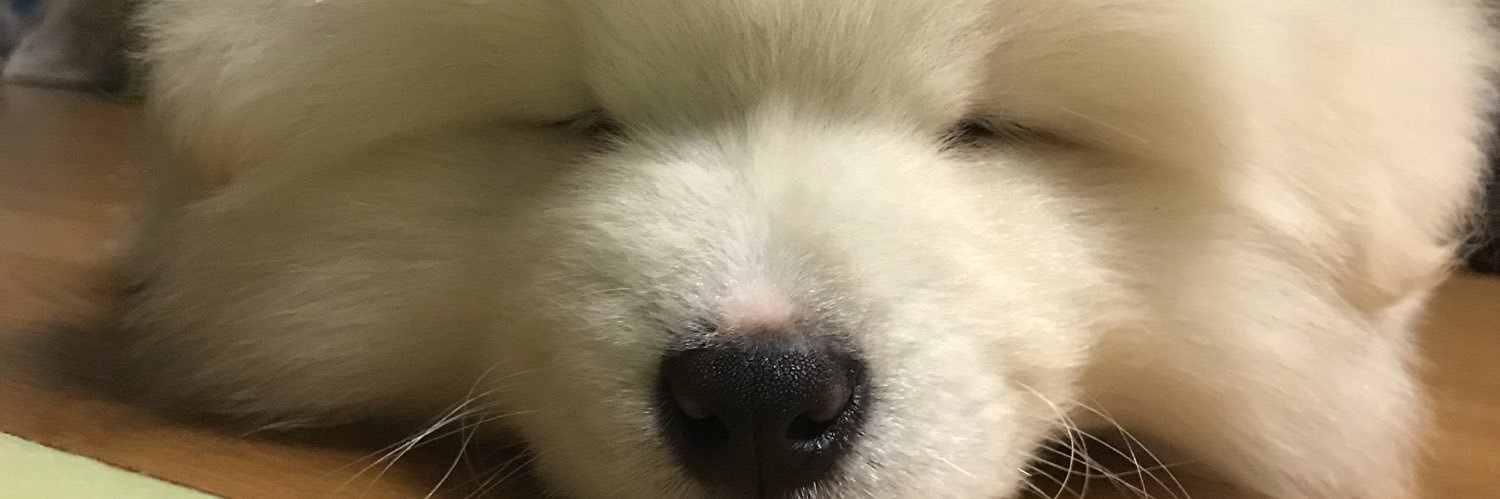 tocchi_72's profile banner image