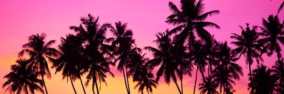 its_miss_giggle's profile banner image