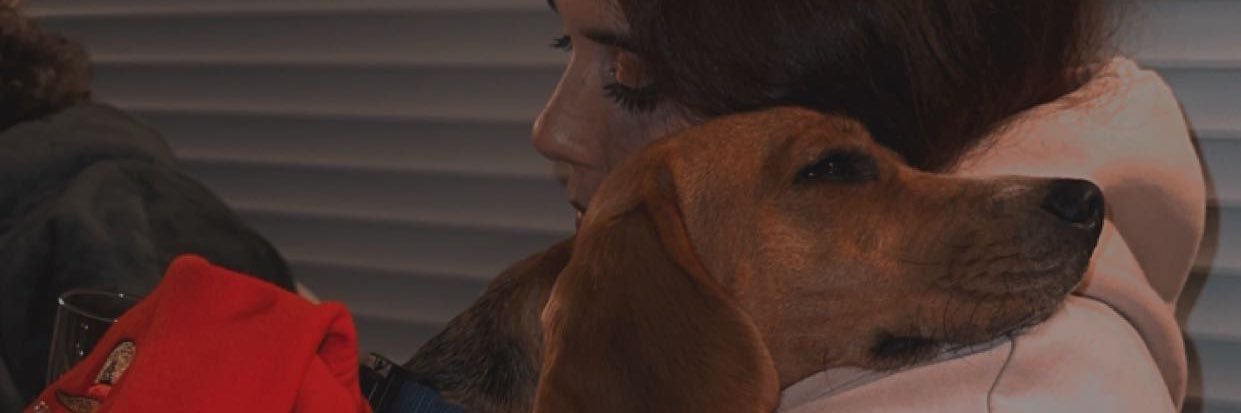 jfcvr19's profile banner image