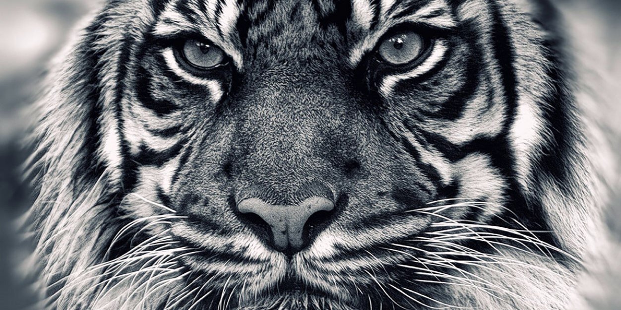 mariaboado3's profile banner image