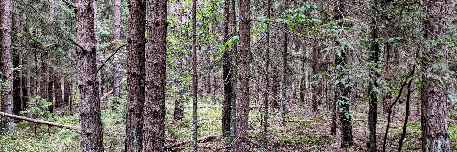 Stuart Grieve banner