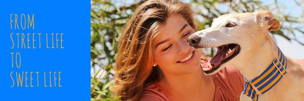 GalgosdelSol Profile Banner