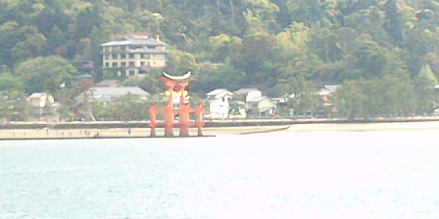 Elisa Cavatorta banner