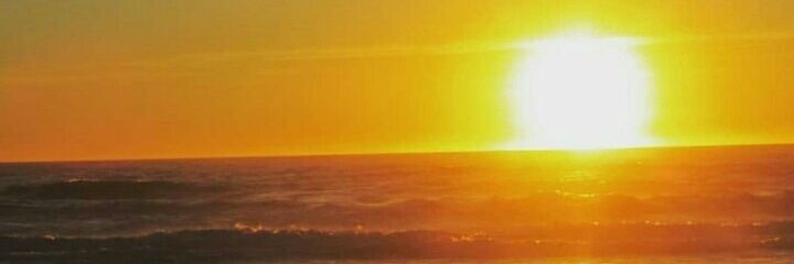 eljapimor's profile banner image