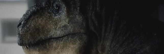 Tanner banner
