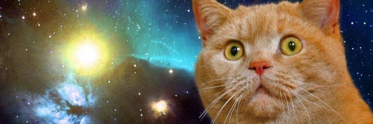 しょうゆーた banner