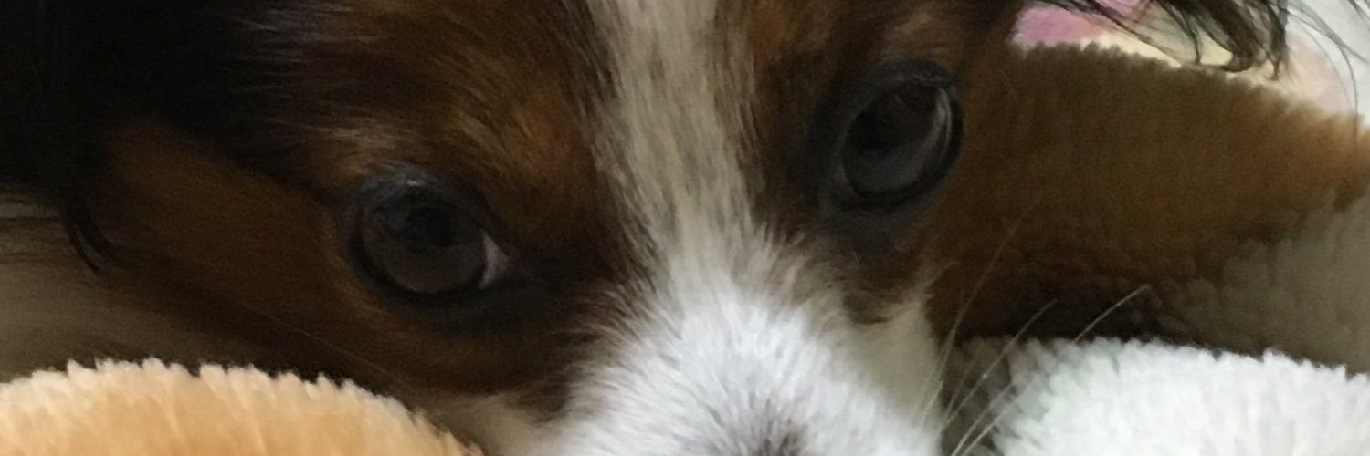 70070310's profile banner image