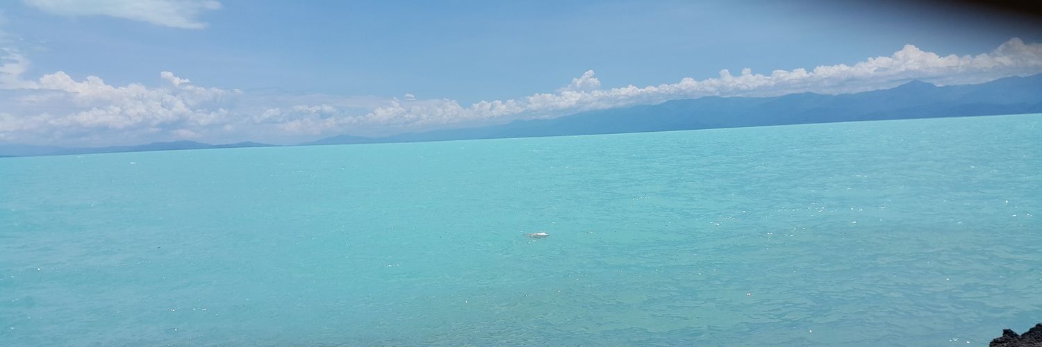 monopinion84's profile banner image