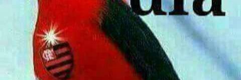 vanesessa's profile banner image