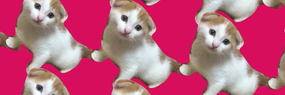 yukkitamn's profile banner image