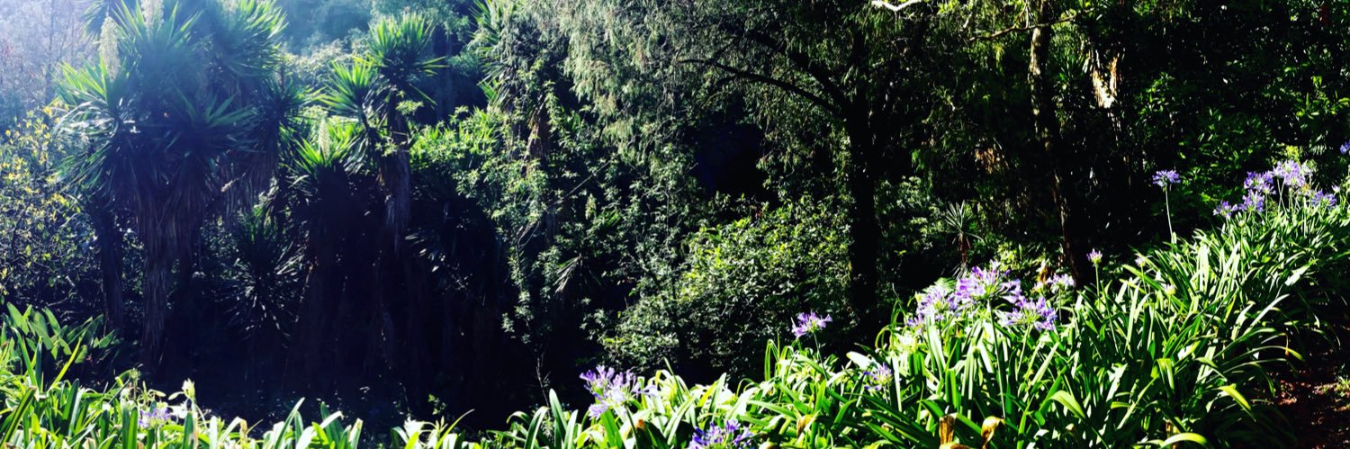 MexicoesProVida's profile banner image