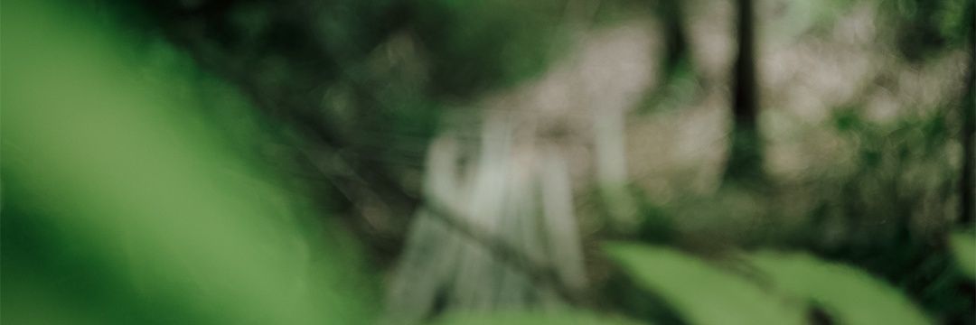 nizami_why's profile banner image