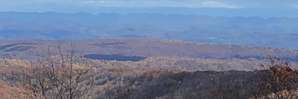 TriciaEdwards2 Profile Banner