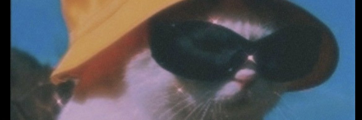 Inesjajaja's profile banner image