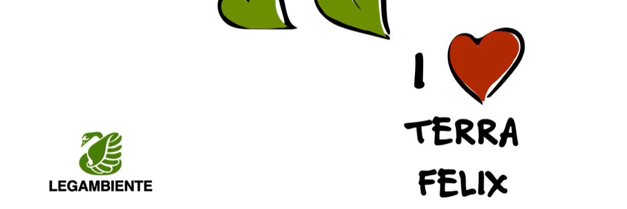 antpascale's profile banner image