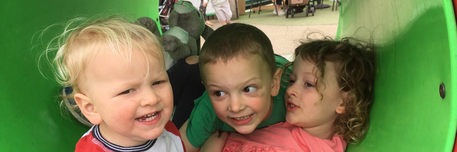 B Turnpenny Hampson banner