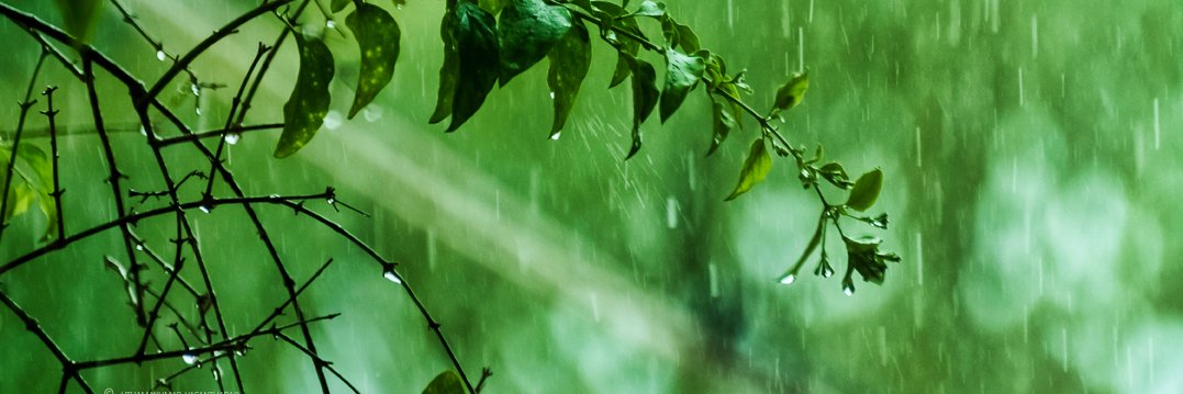 uthamz's profile banner image