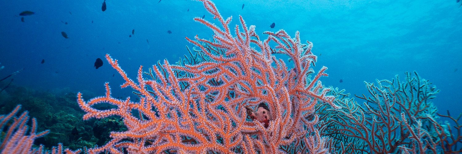 Pacific Environment banner