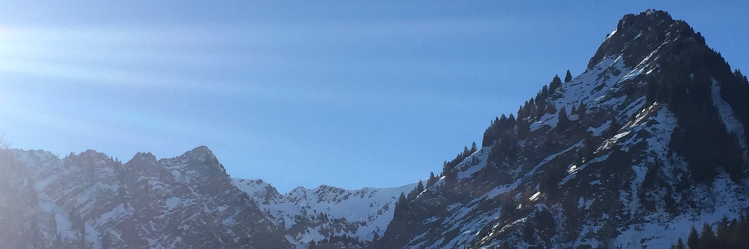 Julia_lepanda's profile banner image