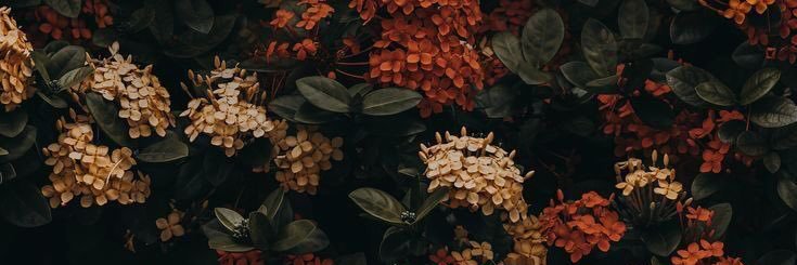 slvsh_'s profile banner image