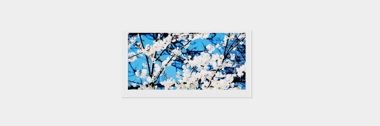 tyene_'s profile banner image