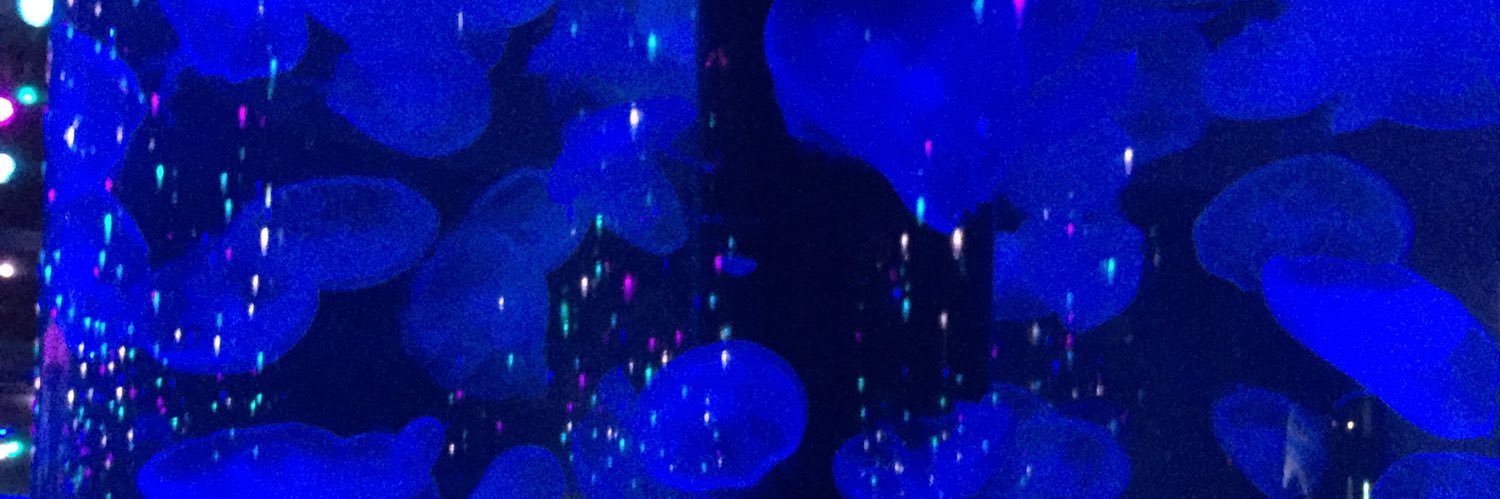tsukihi00's profile banner image