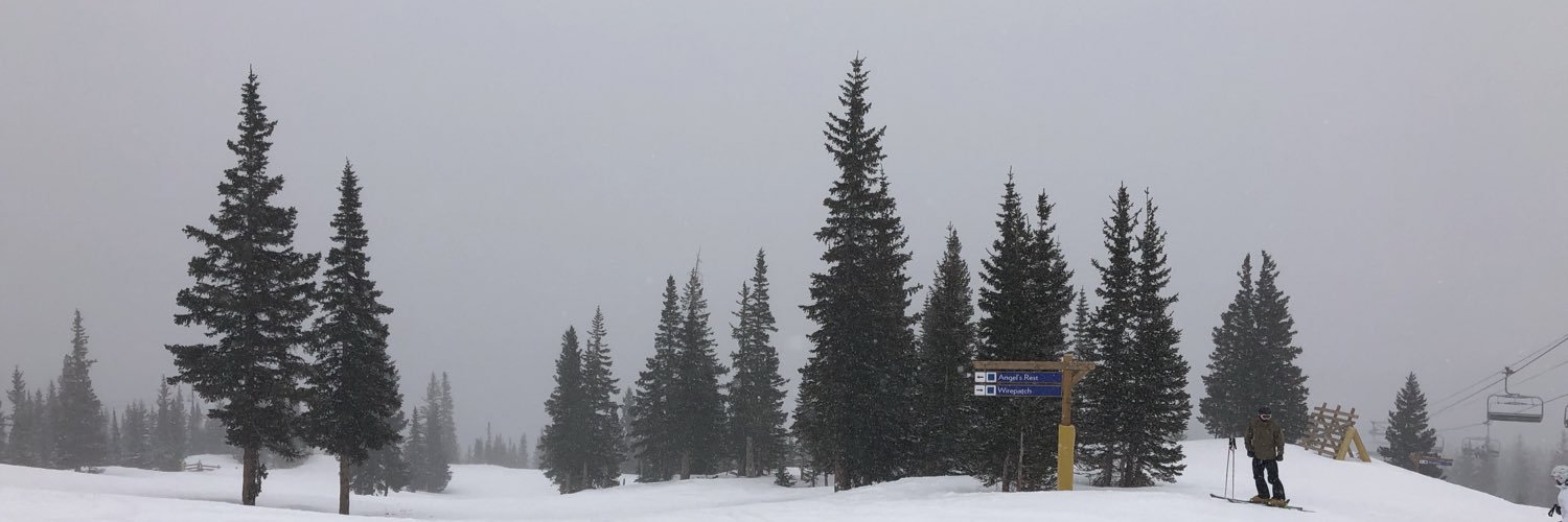 Jennifer Wright banner