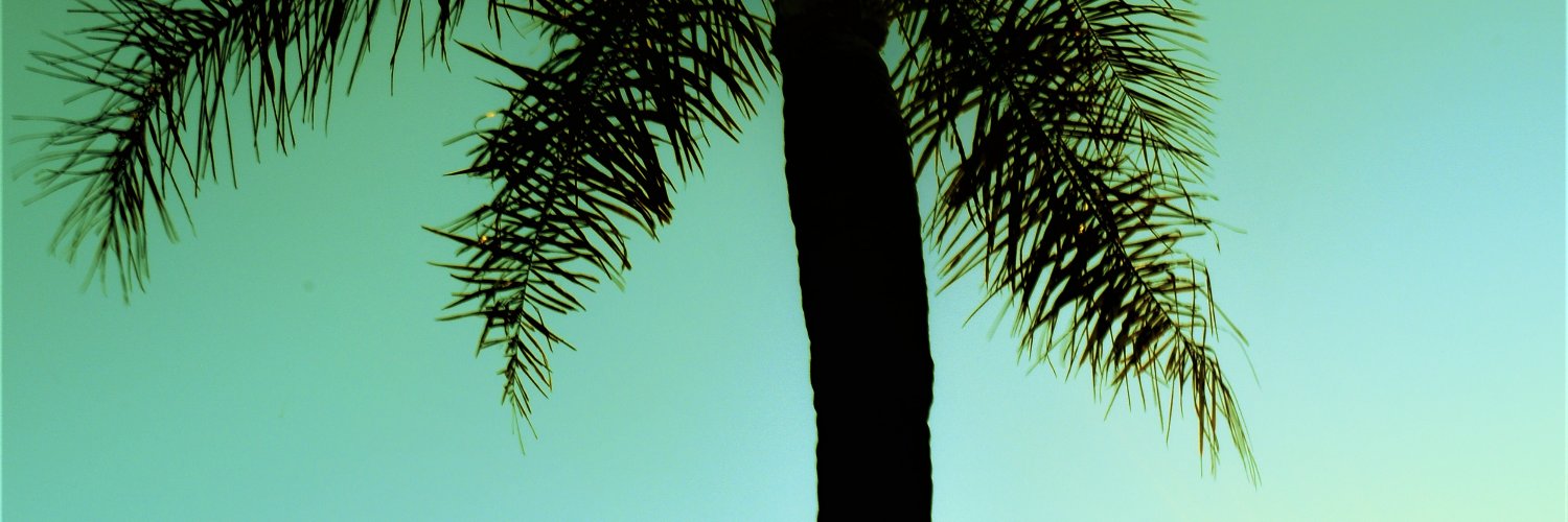 GiselaStuchi's profile banner image