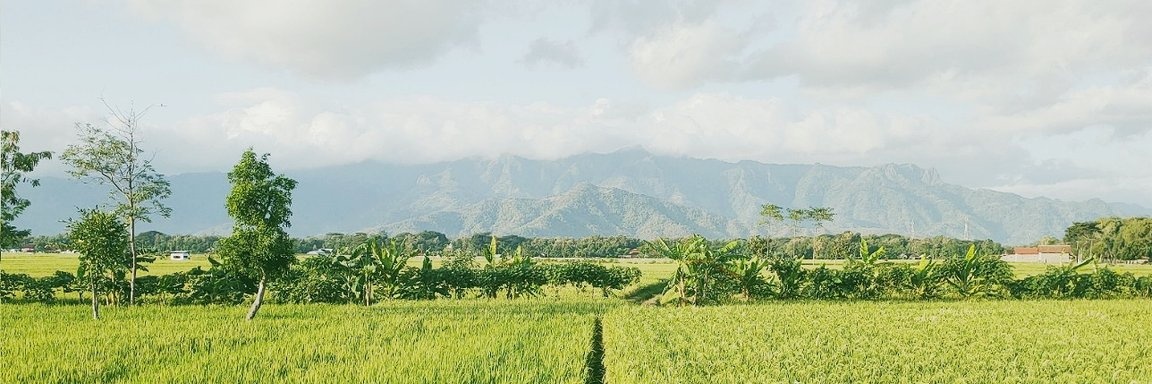 peeshopee_'s profile banner image