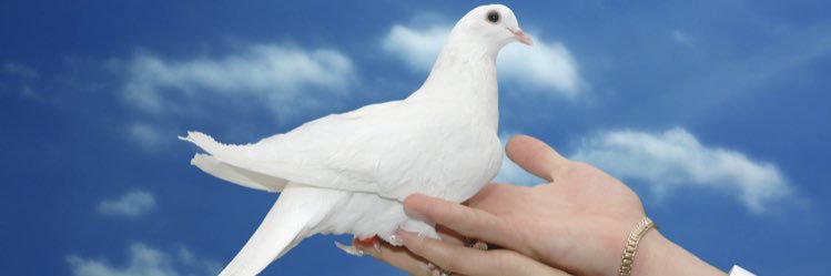 تذكار الخثلان banner