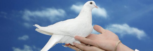 tethkarmk Profile Banner