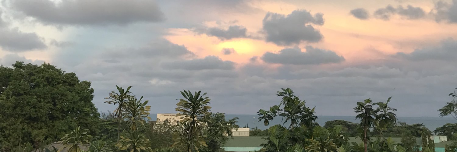 theonly_rose's profile banner image