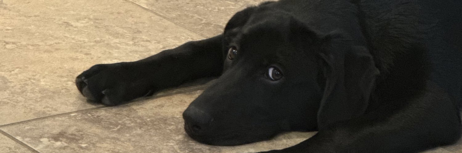 Da_Number1_Mom's profile banner image