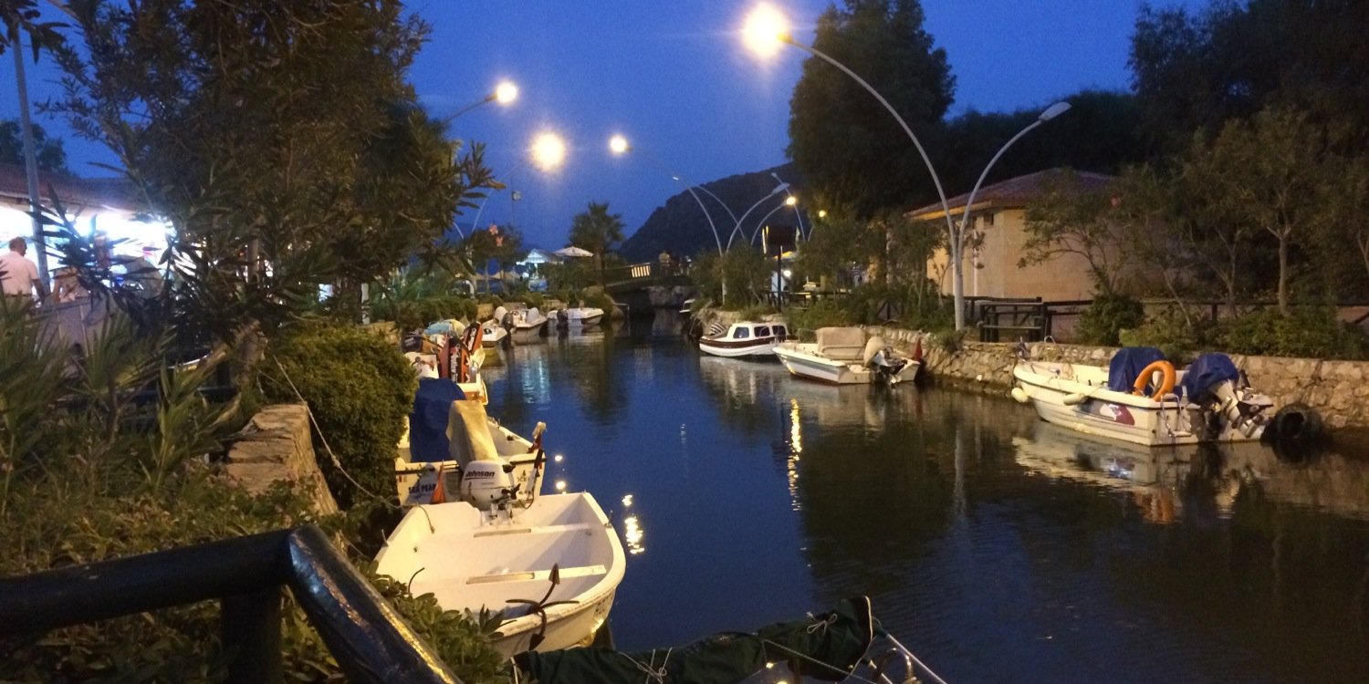 mark dillnutt banner