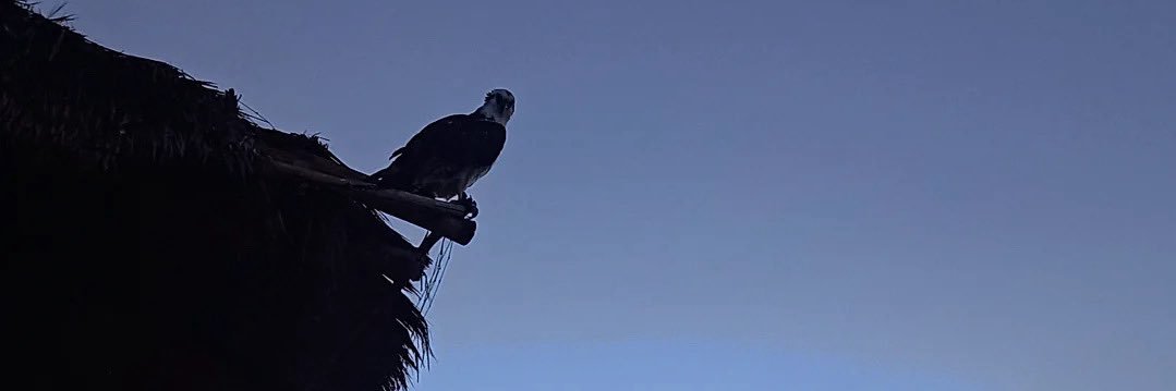 AlejandroAgMe's profile banner image