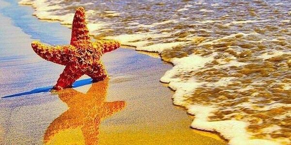 19Gemigomez's profile banner image