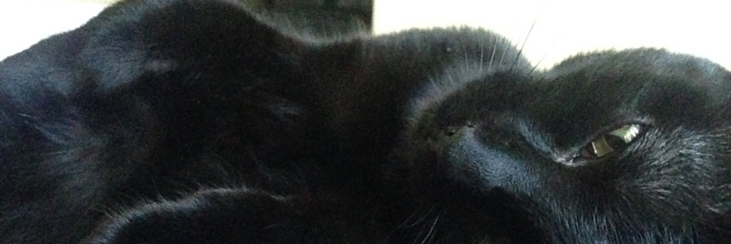 beamfish's profile banner image