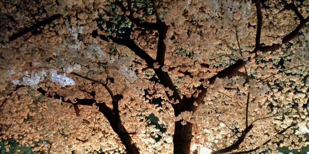 ikegami_k's profile banner image