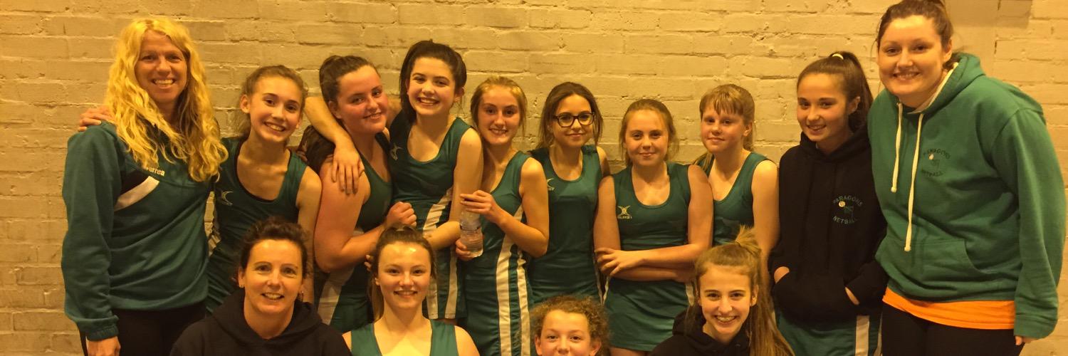 ParagonsNetball's profile banner image