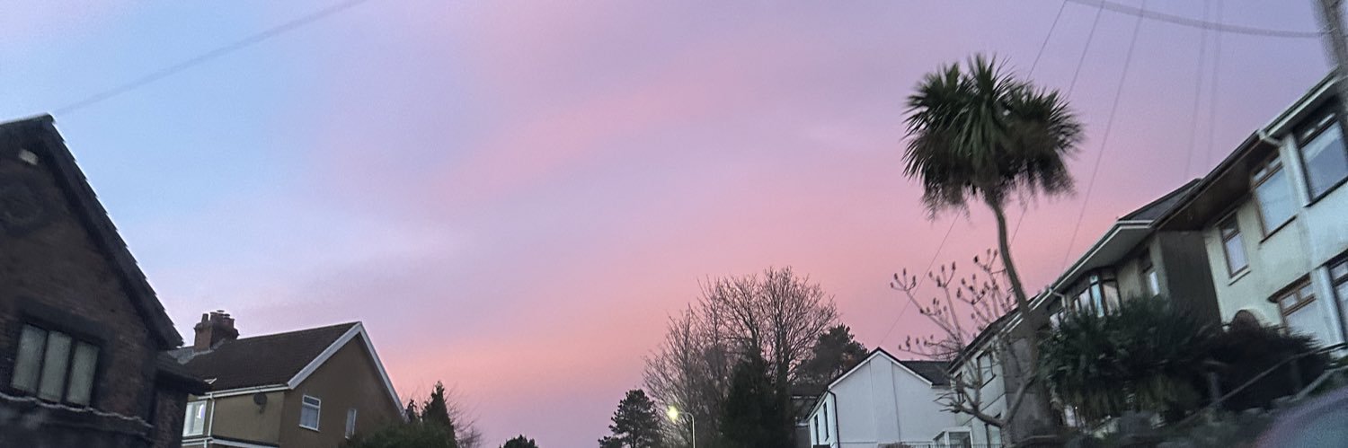 perksofbeingizz's profile banner image