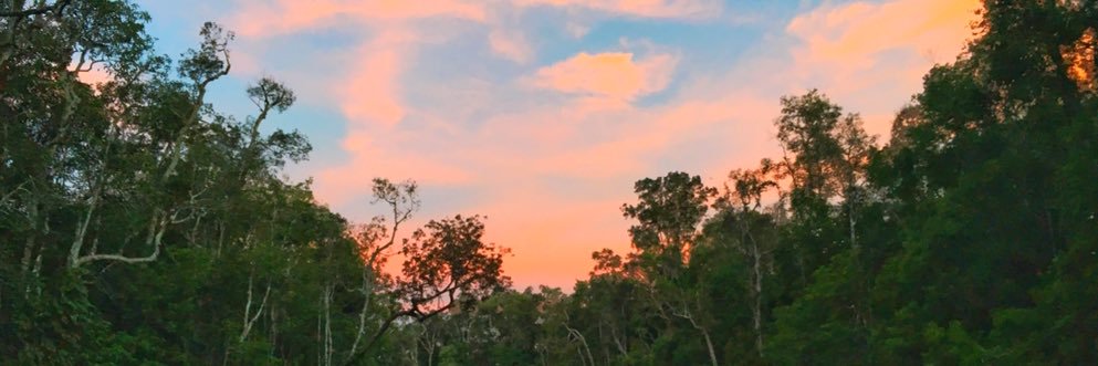 Nobody1oo's profile banner image